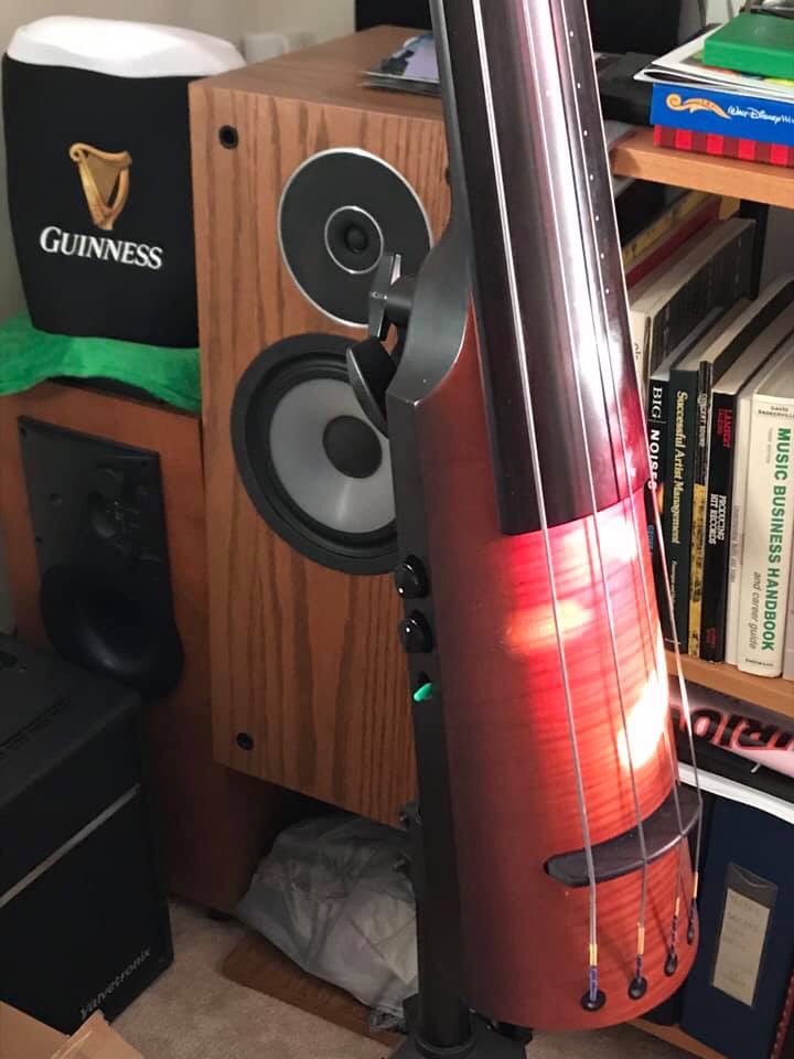 Electric stand-up bass